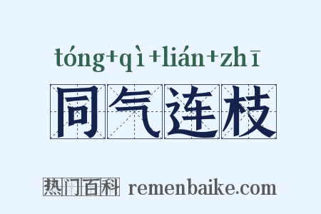 同气连枝是什么意思的图片